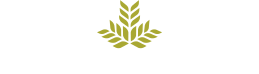 Northeast Georgia Health System