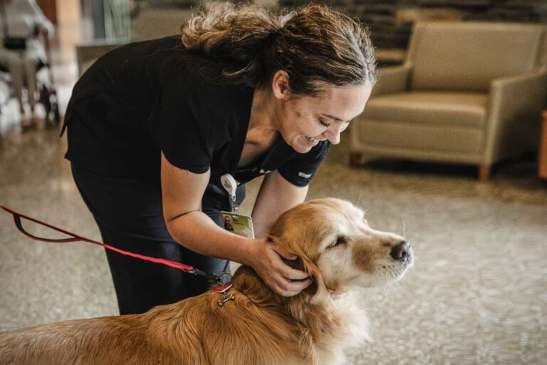 Unleashing Happiness: The Power of Volunteer Therapy Dogs