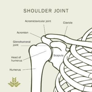 What should I expect from shoulder replacement surgery? - Northeast ...