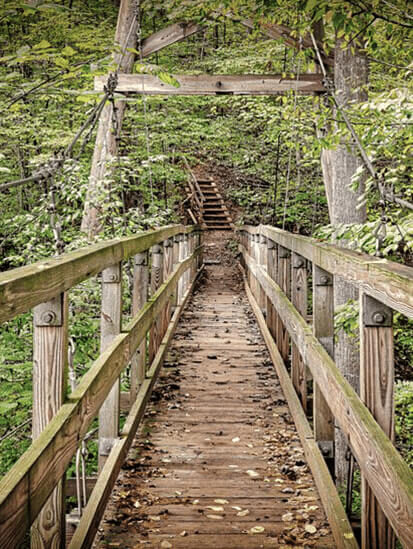 Narrow wooden bridge crossing through a wooded area toward a hiking trail.