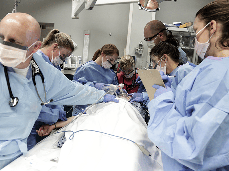 Medical team in surgical gowns and masks performing a procedure in an operating room.